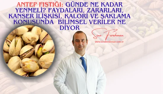 Antep Fıstığı: Günde Ne Kadar Yenmeli? Faydaları, Zararları, Kanser İlişkisi, Kalori ve Saklama konusunda Bilimsel Veriler Ne Diyor