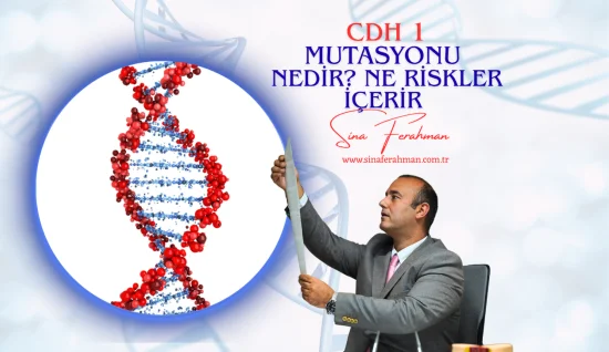 CDH1 Mutasyonu Hakkında Her Şey: Lobüler Meme Kanseri ve Diffüz Mide Kanseri Riski