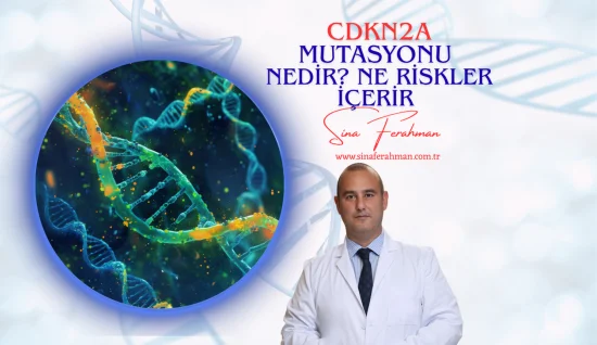 CDKN2A Mutasyonu Nedir? Bilimsel Veriler, Pankreas ve Melanom Kanseri Riskleri, Meme Kanseriyle İlişkisi
