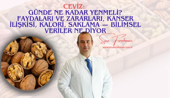Ceviz: Günde Ne Kadar Yenmeli? Faydaları ve Zararları, Kanser İlişkisi, Kalori, Saklama ' Bilimsel Veriler Ne Diyor