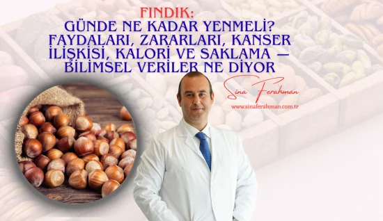 Fındık: Günde Ne Kadar Yenmeli? Faydaları, Zararları, Kanser İlişkisi, Kalori ve Saklama ' Bilimsel Veriler Ne Diyor