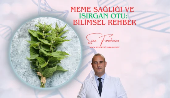 Isırgan Otu - Meme Sağlığı: Bilimsel Rehber | Nasıl Kullanılır, Kimler İçin Uygun, Ne Kadar Tüketilmeli?
