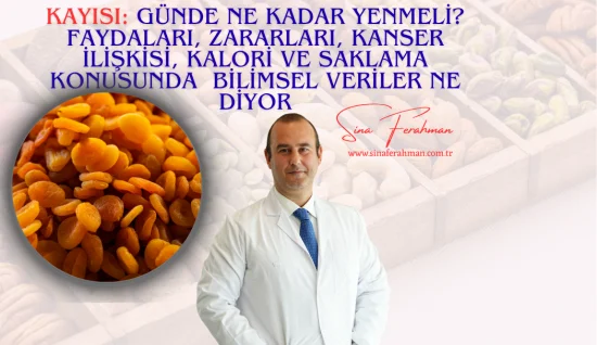 Kayısı: Günde Ne Kadar Yenmeli? Faydaları, Zararları, Kanser İlişkisi ve Meme Kanseri Üzerine Bilimsel Veriler Ne Diyor