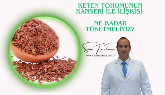 Keten Tohumu Zararlı mı? Meme Kanseriyle İlişkisi, Faydaları ve Ne Kadar Yenmeli?