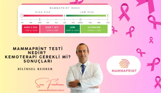 MammaPrint Testi Nedir? Kemoterapi Gerekli mi? Sonuçları, Fiyatı | Bilimsel Rehber