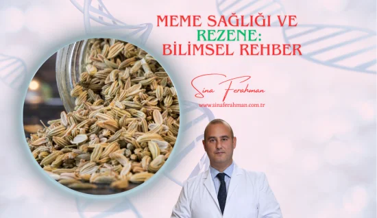 Meme Sağlığı ve Rezene: Bilimsel Rehber | Nasıl Kullanılır, Kimler İçin Uygun, Ne Kadar Tüketilmeli?