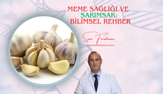 Sarımsak ve Meme Sağlığı: Bilimsel Rehber | Nasıl Kullanılır, Ne Kadar Tüketilmeli?