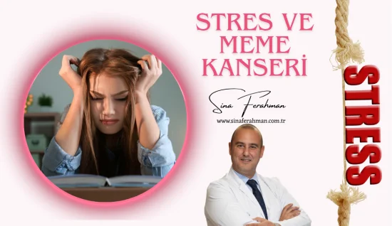 Stres Meme Kanserine Yol Açar mı?