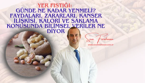 Yer Fıstığı: Günde Ne Kadar Yenmeli? Faydaları, Zararları, Kanser İlişkisi, Kalori ve Saklama Bilimsel Veriler Ne Diyor