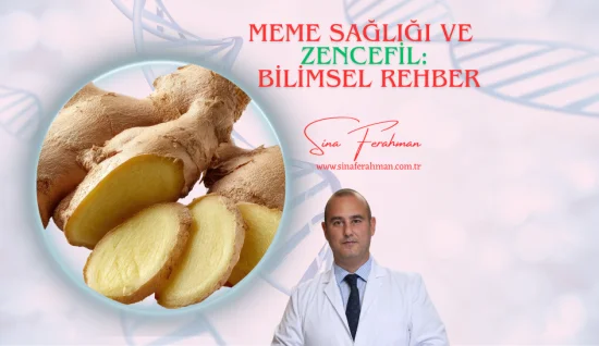 Zencefil ve Meme Sağlığı: Bilimsel Rehber | Nasıl Kullanılır, Ne Kadar Tüketilmeli?