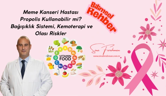 Meme Kanseri Hastası Propolis Kullanabilir mi? Bağışıklık Sistemi, Kemoterapi ve Olası Riskler | Bilimsel Rehber